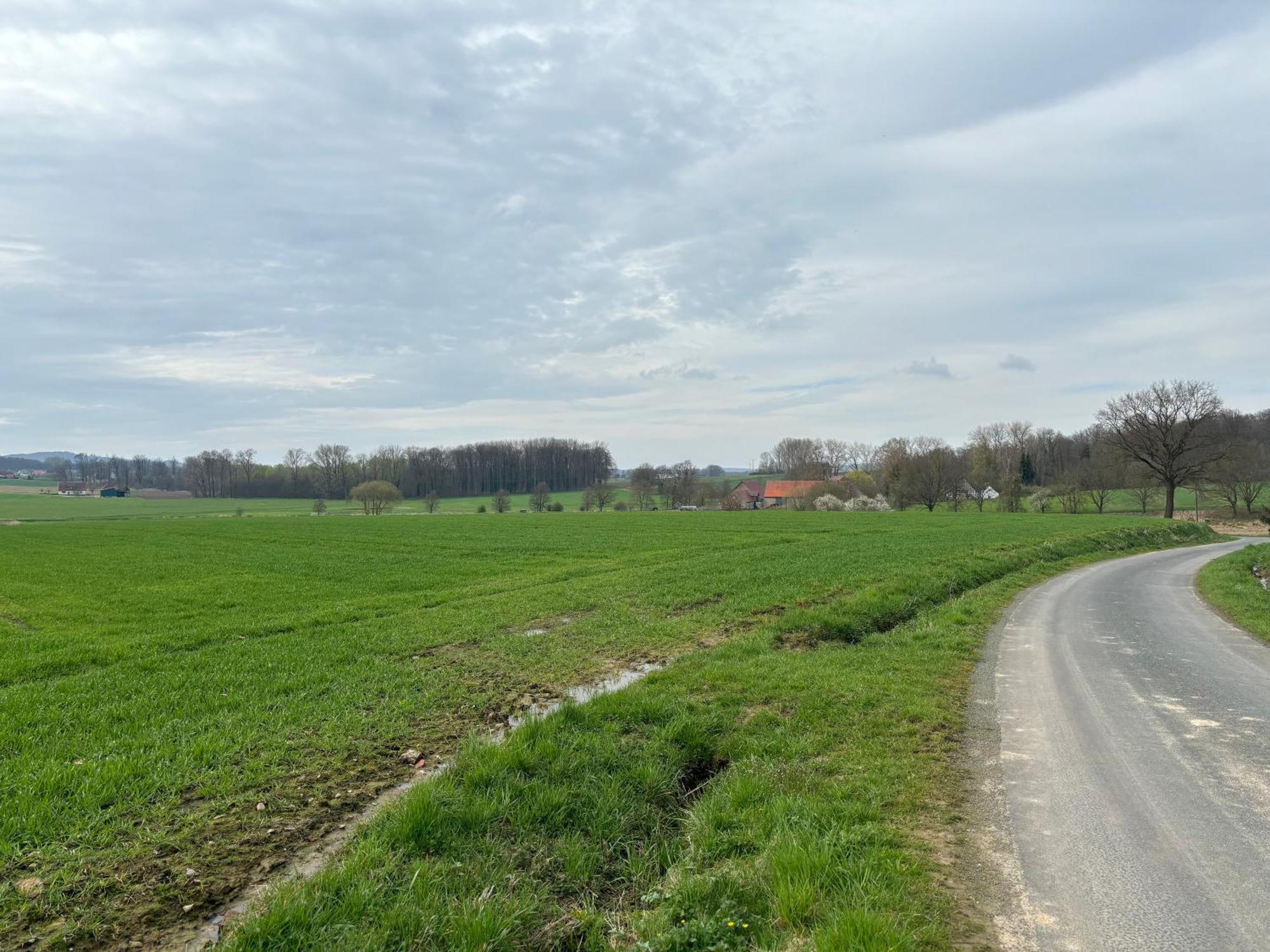 Scheunenwohnung In Der Natur Melle Exteriör bild